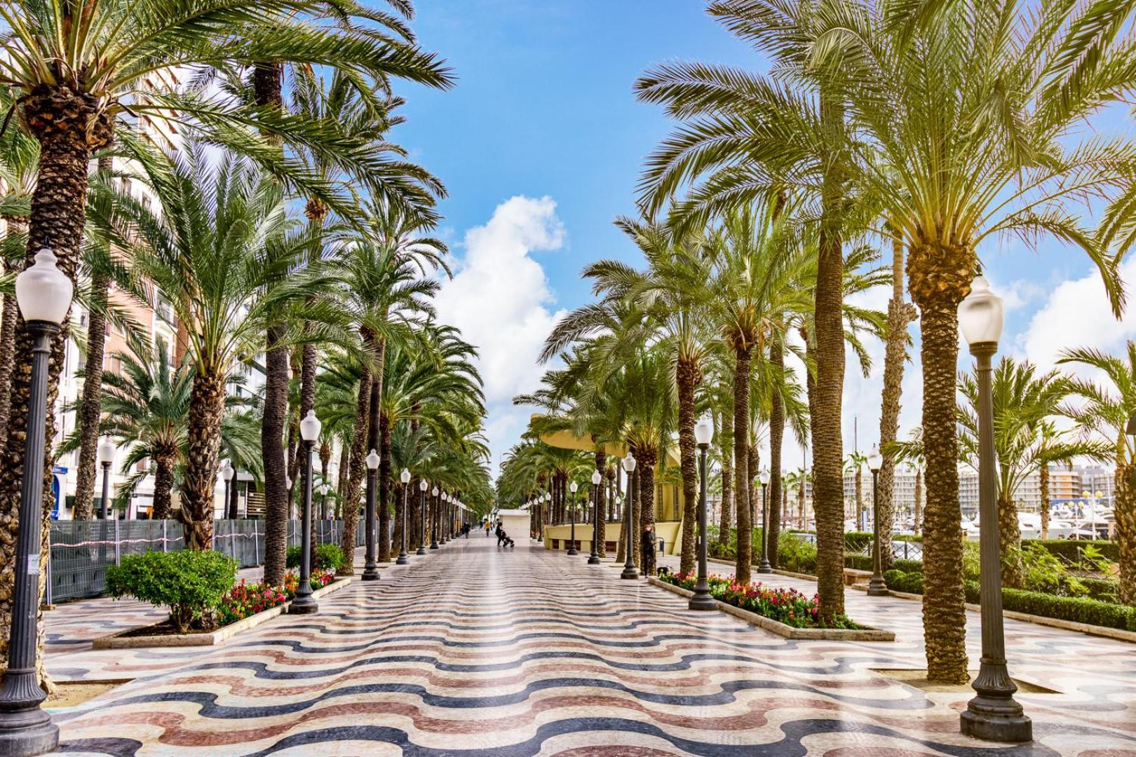 Hb Apartments - Mercado Central - Rambla Alicante - La Suite De La Playa Εξωτερικό φωτογραφία