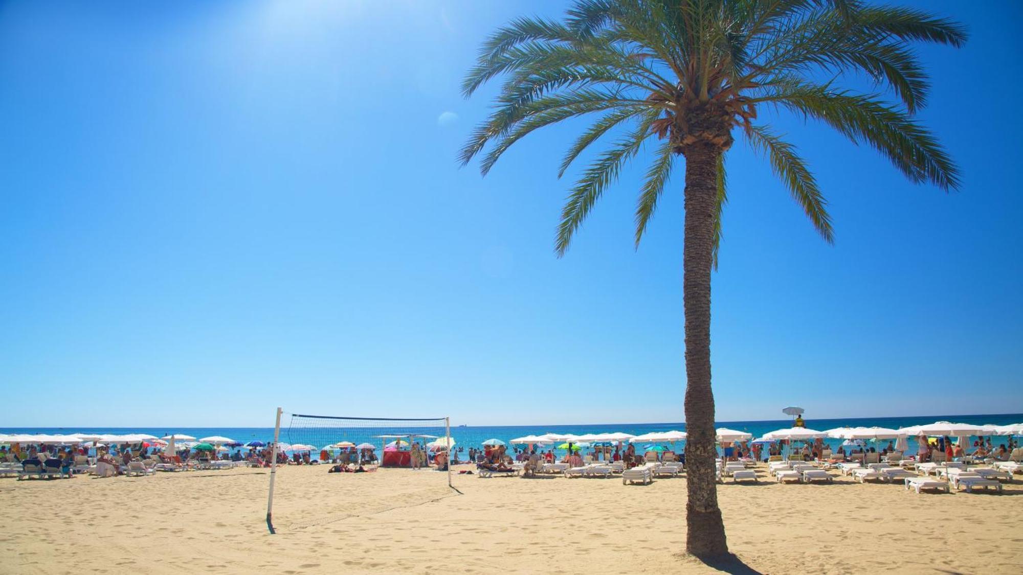 Hb Apartments - Mercado Central - Rambla Alicante - La Suite De La Playa Εξωτερικό φωτογραφία